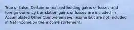 True or false: Certain unrealized holding gains or losses and foreign currency translation gains or losses are included in Accumulated Other Comprehensive Income but are not included in Net Income on the income statement.