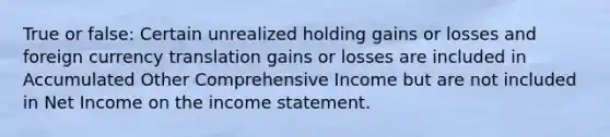 True or false: Certain unrealized holding gains or losses and foreign currency translation gains or losses are included in Accumulated Other Comprehensive Income but are not included in Net Income on the income statement.