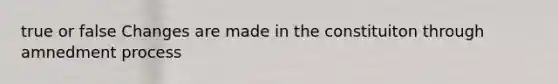true or false Changes are made in the constituiton through amnedment process