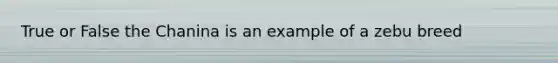 True or False the Chanina is an example of a zebu breed