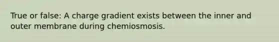 True or false: A charge gradient exists between the inner and outer membrane during chemiosmosis.