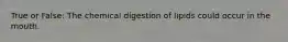 True or False: The chemical digestion of lipids could occur in the mouth.