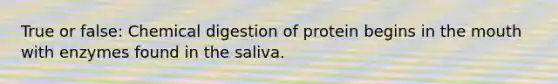 True or false: Chemical digestion of protein begins in the mouth with enzymes found in the saliva.