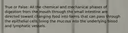 True or False: All the chemical and mechanical phases of digestion from the mouth through the small intestine are directed toward changing food into forms that can pass through the epithelial cells lining the mucosa into the underlying blood and lymphatic vessels.