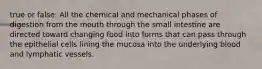 true or false: All the chemical and mechanical phases of digestion from the mouth through the small intestine are directed toward changing food into forms that can pass through the epithelial cells lining the mucosa into the underlying blood and lymphatic vessels.