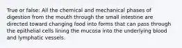 True or false: All the chemical and mechanical phases of digestion from the mouth through the small intestine are directed toward changing food into forms that can pass through the epithelial cells lining the mucosa into the underlying blood and lymphatic vessels.