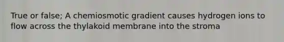 True or false; A chemiosmotic gradient causes hydrogen ions to flow across the thylakoid membrane into the stroma