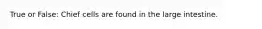 True or False: Chief cells are found in the large intestine.