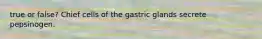 true or false? Chief cells of the gastric glands secrete pepsinogen.