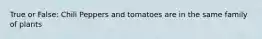 True or False: Chili Peppers and tomatoes are in the same family of plants