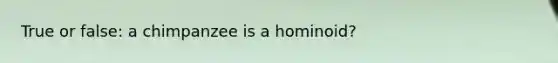 True or false: a chimpanzee is a hominoid?