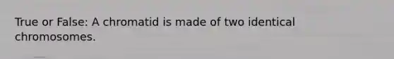 True or False: A chromatid is made of two identical chromosomes.