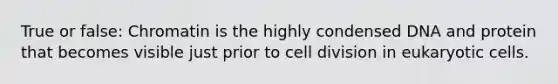 True or false: Chromatin is the highly condensed DNA and protein that becomes visible just prior to cell division in eukaryotic cells.