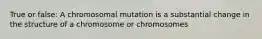 True or false: A chromosomal mutation is a substantial change in the structure of a chromosome or chromosomes