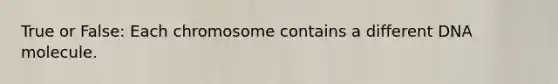 True or False: Each chromosome contains a different DNA molecule.