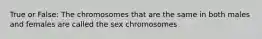 True or False: The chromosomes that are the same in both males and females are called the sex chromosomes