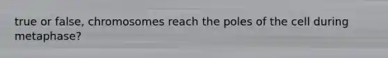true or false, chromosomes reach the poles of the cell during metaphase?