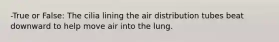 -True or False: The cilia lining the air distribution tubes beat downward to help move air into the lung.