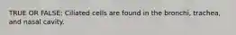 TRUE OR FALSE: Ciliated cells are found in the bronchi, trachea, and nasal cavity.