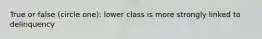 True or false (circle one): lower class is more strongly linked to delinquency