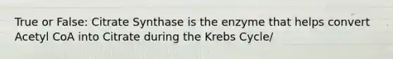 True or False: Citrate Synthase is the enzyme that helps convert Acetyl CoA into Citrate during the Krebs Cycle/