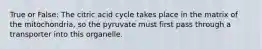 True or False: The citric acid cycle takes place in the matrix of the mitochondria, so the pyruvate must first pass through a transporter into this organelle.