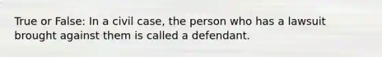 True or False: In a civil case, the person who has a lawsuit brought against them is called a defendant.