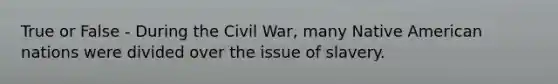 True or False - During the Civil War, many Native American nations were divided over the issue of slavery.