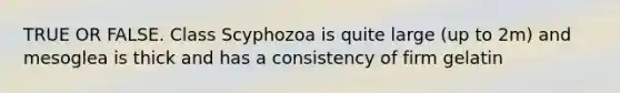 TRUE OR FALSE. Class Scyphozoa is quite large (up to 2m) and mesoglea is thick and has a consistency of firm gelatin