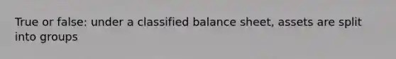 True or false: under a classified balance sheet, assets are split into groups