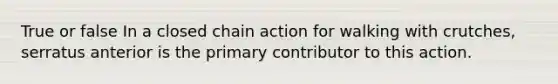 True or false In a closed chain action for walking with crutches, serratus anterior is the primary contributor to this action.