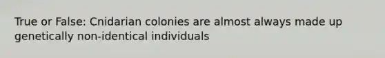 True or False: Cnidarian colonies are almost always made up genetically non-identical individuals