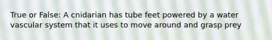 True or False: A cnidarian has tube feet powered by a water vascular system that it uses to move around and grasp prey