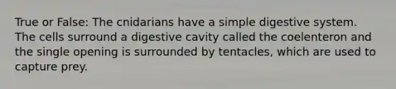 True or False: The cnidarians have a simple digestive system. The cells surround a digestive cavity called the coelenteron and the single opening is surrounded by tentacles, which are used to capture prey.