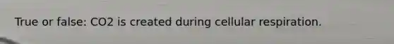 True or false: CO2 is created during cellular respiration.