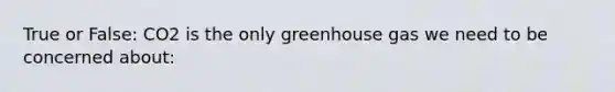 True or False: CO2 is the only greenhouse gas we need to be concerned about: