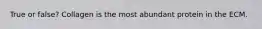 True or false? Collagen is the most abundant protein in the ECM.