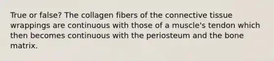 True or false? The collagen fibers of the connective tissue wrappings are continuous with those of a muscle's tendon which then becomes continuous with the periosteum and the bone matrix.