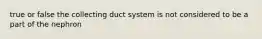 true or false the collecting duct system is not considered to be a part of the nephron