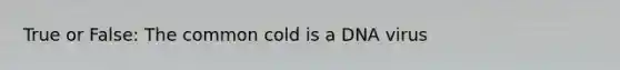 True or False: The common cold is a DNA virus