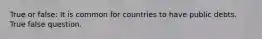 True or false: It is common for countries to have public debts. True false question.