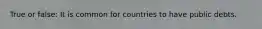 True or false: It is common for countries to have public debts.