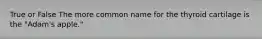 True or False The more common name for the thyroid cartilage is the "Adam's apple."