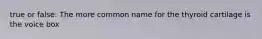 true or false: The more common name for the thyroid cartilage is the voice box