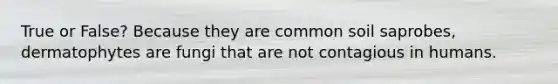 True or False? Because they are common soil saprobes, dermatophytes are fungi that are not contagious in humans.