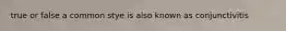true or false a common stye is also known as conjunctivitis