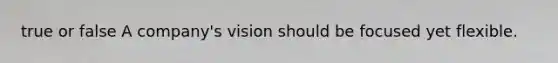 true or false A company's vision should be focused yet flexible.