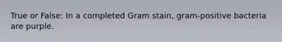 True or False: In a completed Gram stain, gram-positive bacteria are purple.