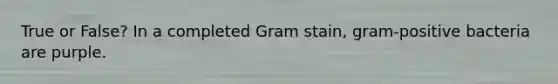 True or False? In a completed Gram stain, gram-positive bacteria are purple.