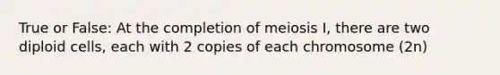 True or False: At the completion of meiosis I, there are two diploid cells, each with 2 copies of each chromosome (2n)